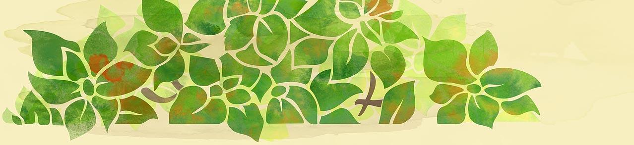 Freeman Counseling & Consulting